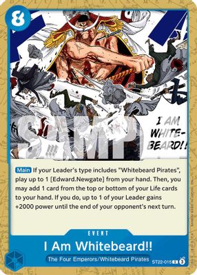 I Am Whitebeard!! artwork