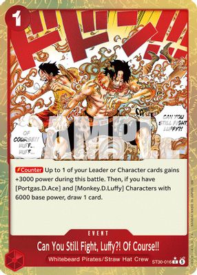 Can You Still Fight, Luffy?! Of Course!!